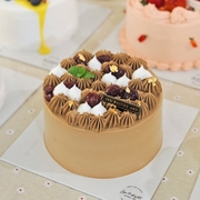Black Forest  Cake
